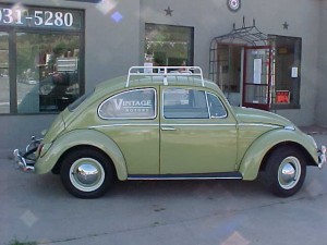 BUG W RACK