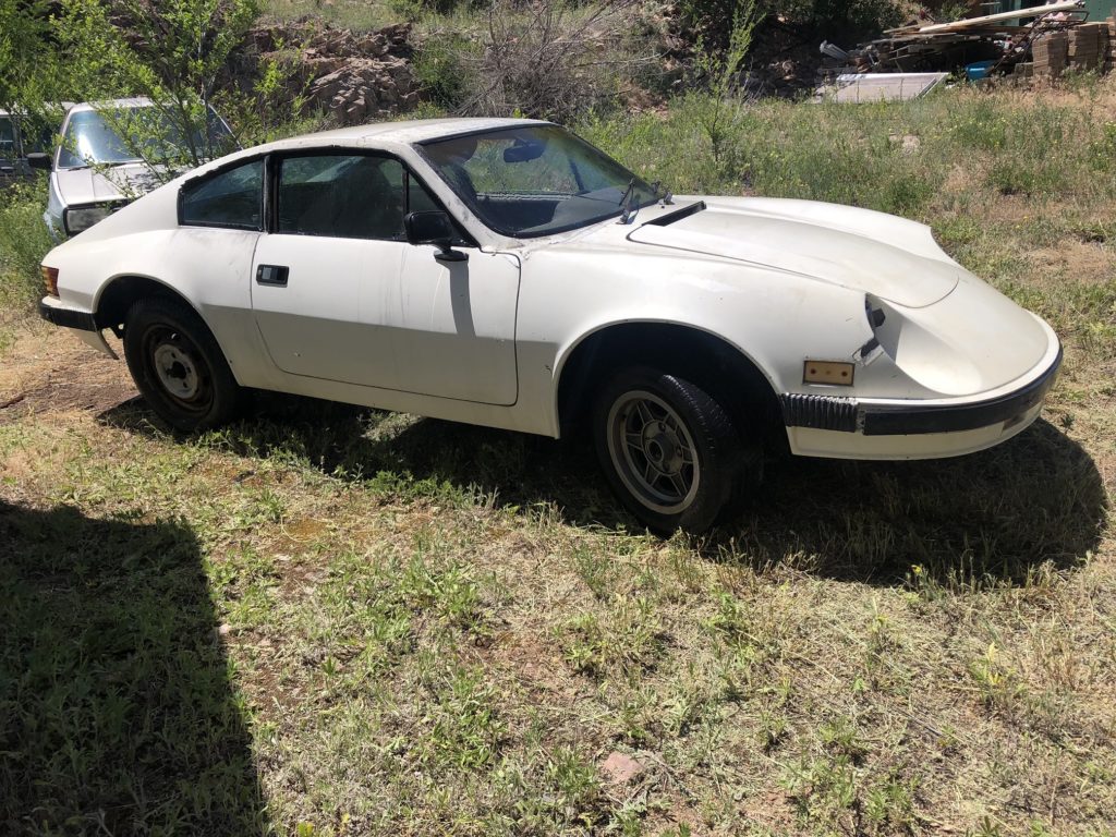 Puma gti 1981 sale